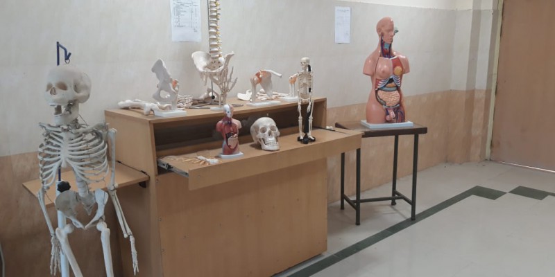 Figure 4 Human Anatomy and Physiology Lab